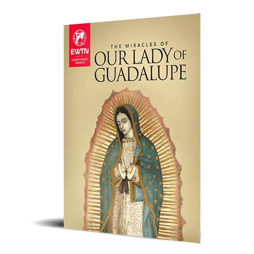 The Miracles of Our Lady of Guadalupe