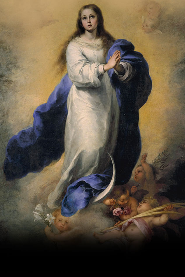 Immaculate Conception