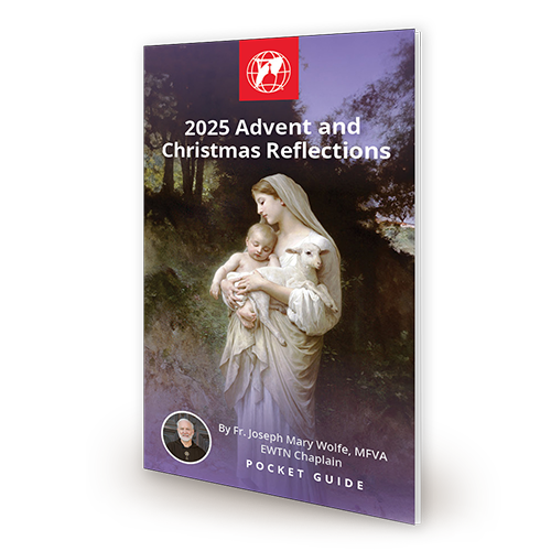 2025 Advent and Christmas Reflections