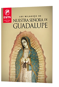 Ewtn Recursos De Fe Nuestra Senora De Guadalupe 1